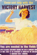 small image - World War Two poster of land girls1