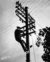 Engineer climbing a telegraph pole with special grips on his legs, 1940s and 1950s Britain