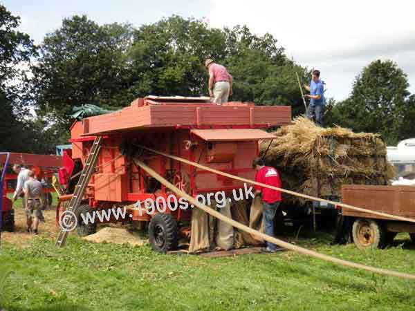 Grain being delivered by a threshing machine
