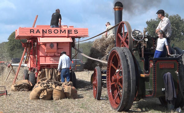 Traction engine drives thresher