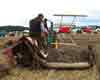 John Deere Model D 1948 with International McCormick Binder